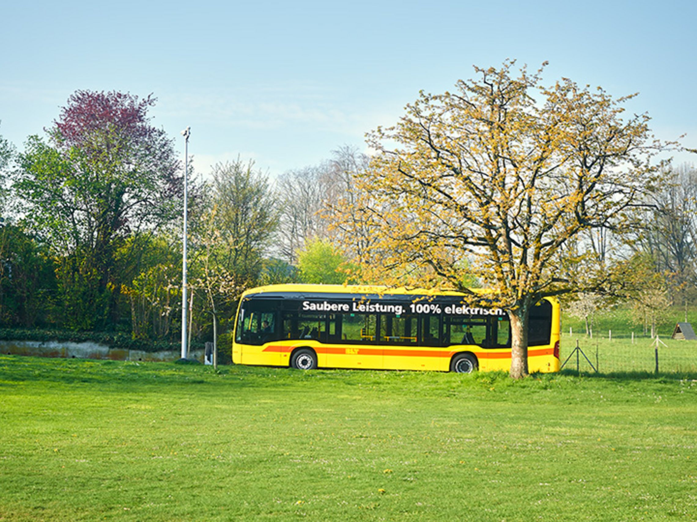 Hintergrundbild Jetzt Petition unterzeichnen!